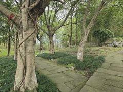 -涞滩古镇
