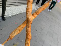 -朝阳公园游乐园