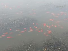 -前关湿地公园