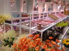 -复地·万科活力中心