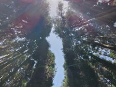 -武陵山森林公园