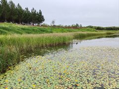 -塞罕坝国家级自然保护区