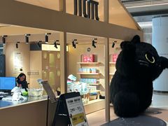 -爪爪喵星球·猫舍(卓悦中心店)