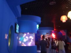 -太平洋海底世界