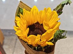 -怪噜范·老贵阳街头名小吃(鸿通城店)