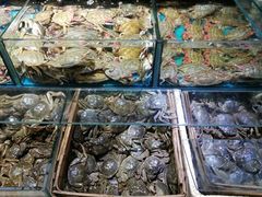 -岳各庄批发市场(西四环中路店)
