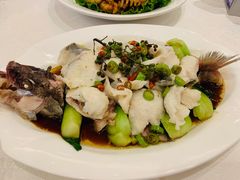 -大铁勺新津菜(东丽阳光新业广场店)