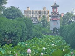 -四川大学(华西校区)