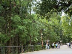 -天河潭旅游度假区