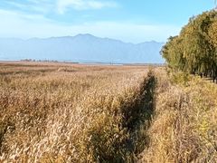 -野鸭湖国家湿地公园