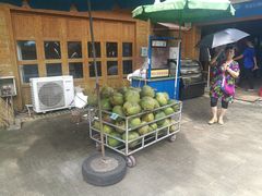 -北海金海湾红树林生态旅游区