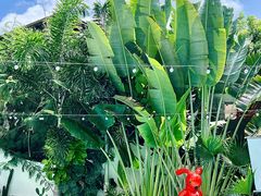 -三亚西岛海洋文化旅游区