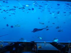 -瑞德姆美人鱼海底演艺主题餐厅(亚龙湾店)