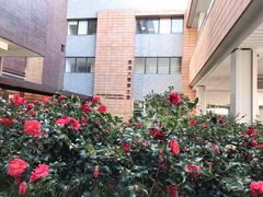 -香港大学
