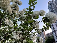 -大龙山(地铁站)