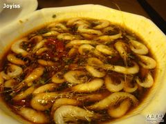 炝白米虾-新南华大酒店(广中店)