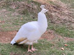 -鄱阳湖国家湿地公园