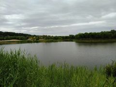 -东郊湿地公园