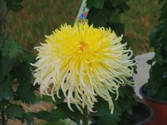 -北京植物园-展览温室