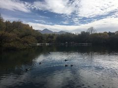 -宗角禄康公园