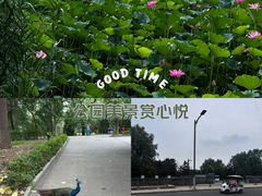 -南海子公园