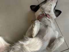 -平行世界·猫咖(首经贸店)