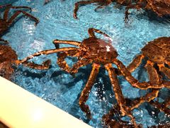 -日进一片海.生腌海鲜火锅.宵夜烧烤(三里屯总店)