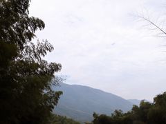 -宁波浙东大竹海景区