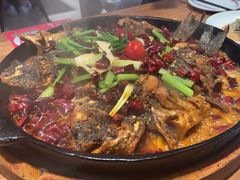 -老板恋上鱼(恒隆广场店)