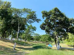 -钟山体育运动公园