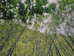 -马岭河峡谷风景区