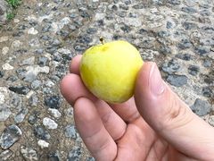 -炊烟餐厅