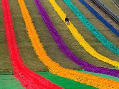 -梦幻奥陶纪景区