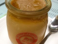 朱古力炖奶-义顺牛奶公司