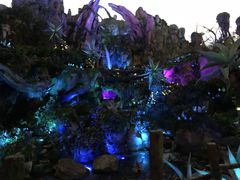 -奥兰多迪士尼动物王国乐园