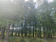 -四明湖