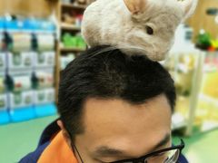 -藦茜花园宠物主题亲子互动体验馆(国顺东路店)