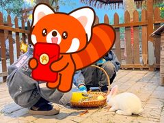 -郑州方特梦幻王国