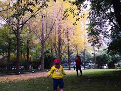 -西南交通大学九里校区-篮球场