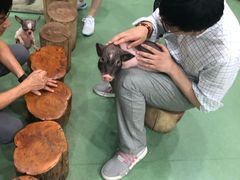 -藦茜花园宠物主题亲子互动体验馆(国顺东路店)