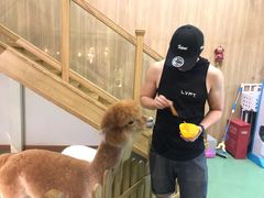 -藦茜花园宠物主题亲子互动体验馆(国顺东路店)