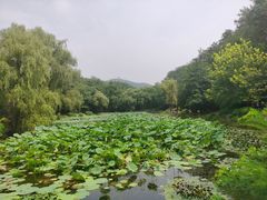 -棒棰岛宾馆景区
