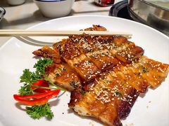 -港升鱼师傅·中山脆肉鲩