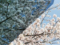 -龙美术馆(西岸馆)