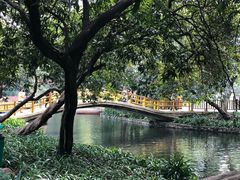 -晓港公园