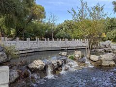 -莲花池公园