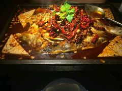 豆花烤鱼-探鱼·鲜青椒爽麻烤鱼(广州花都来又来店)
