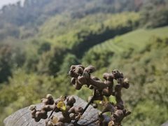 -敬亭山风景名胜区