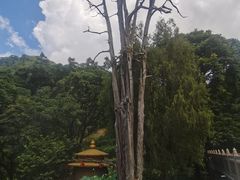 -灵光寺