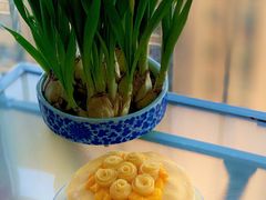-悦芽照护月嫂+育儿嫂(杭州店)